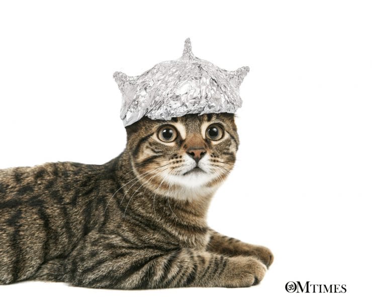 Heart-Based Telepathy OMTimes