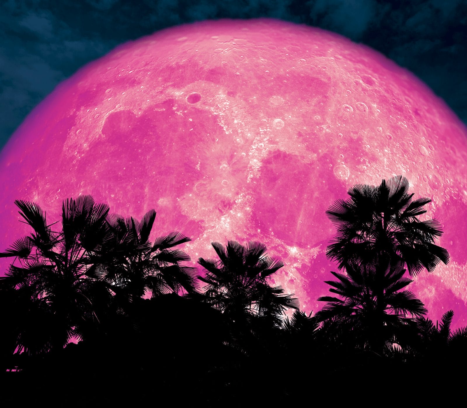 Strawberry Full Moon