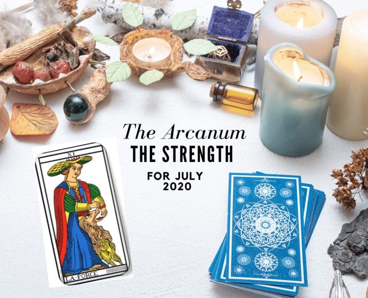 Strength Card Tarot Energy Forecast OMTimes