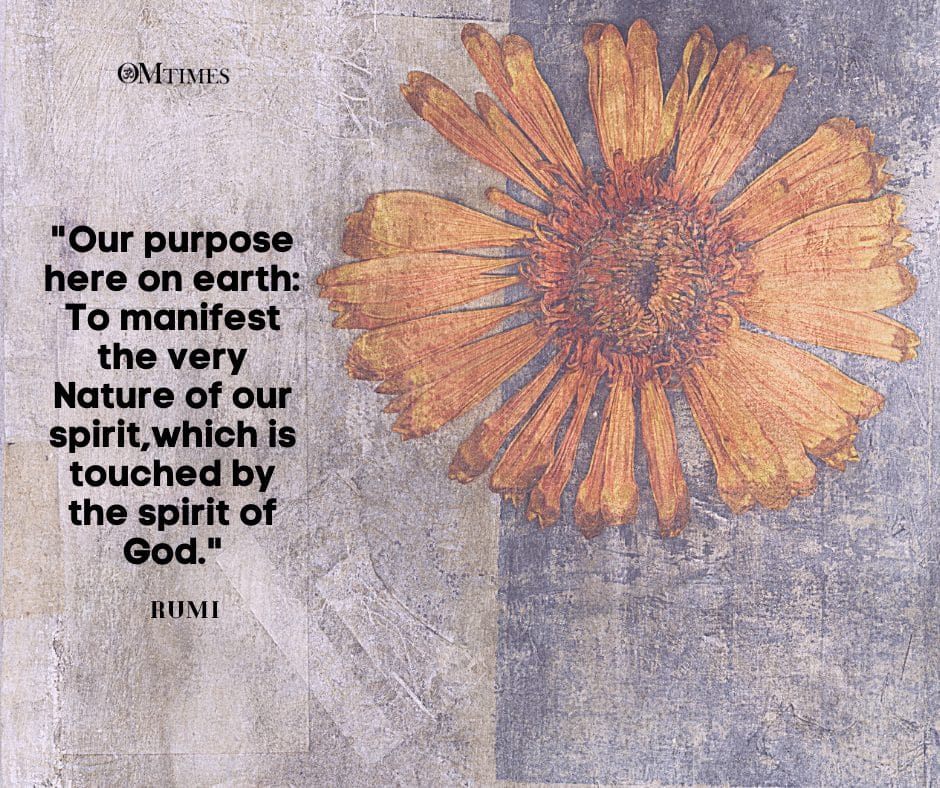 Life Purpose _15 quotes