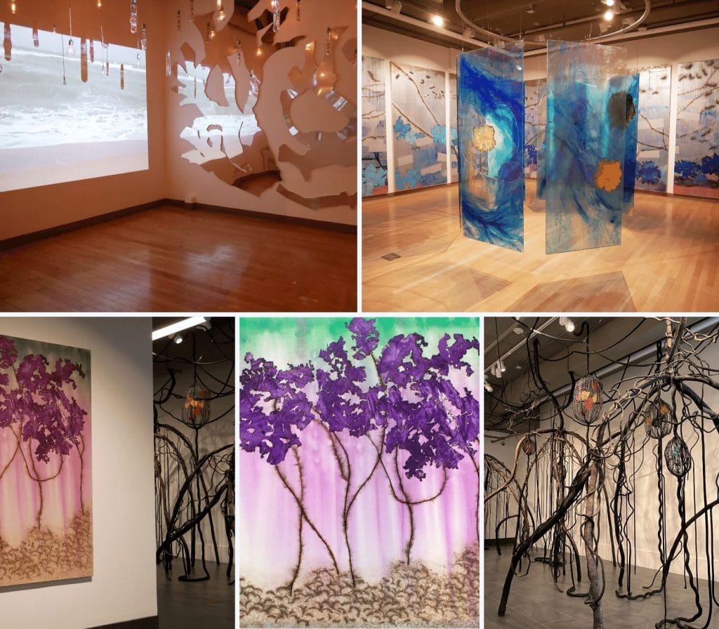 Spaceship Earth-MiraLehr