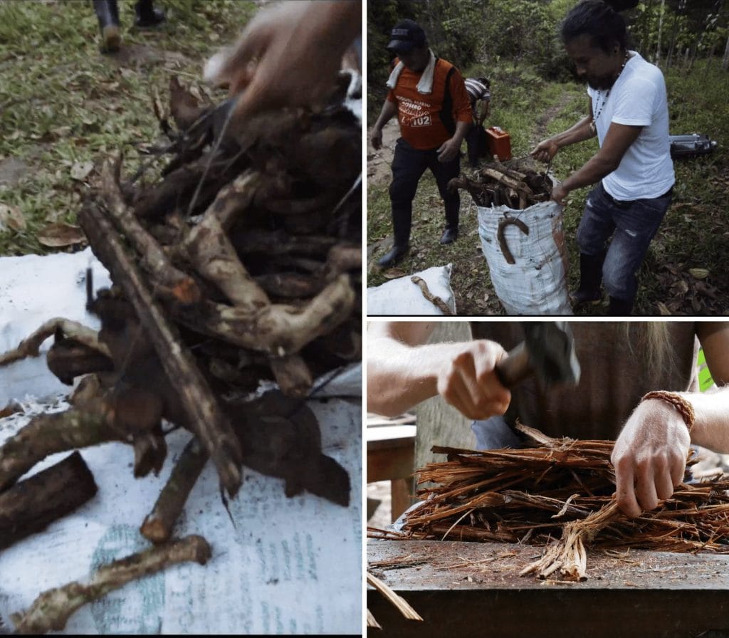 Ayahuasca