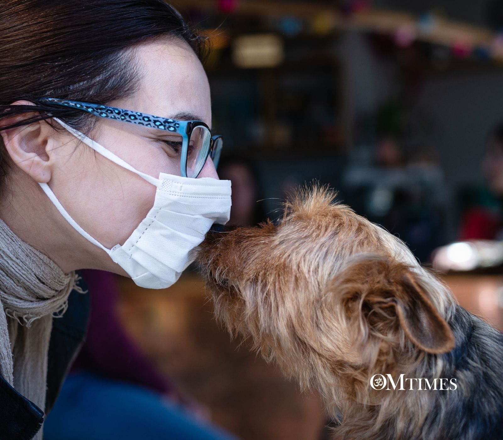 Animal Families OMTimes