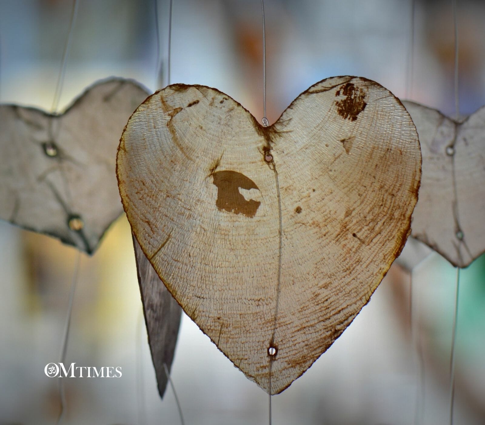 Self Restoration OMTimes