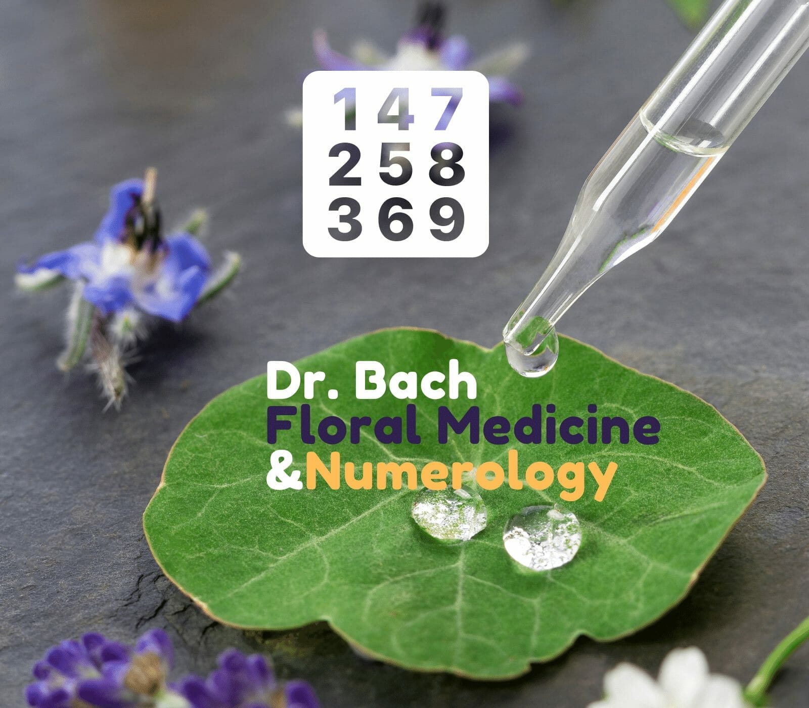 Dr Bach Fl Ine And Numerology