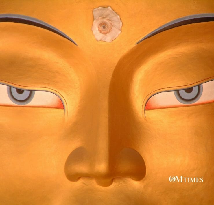 Maitreya OMTimes