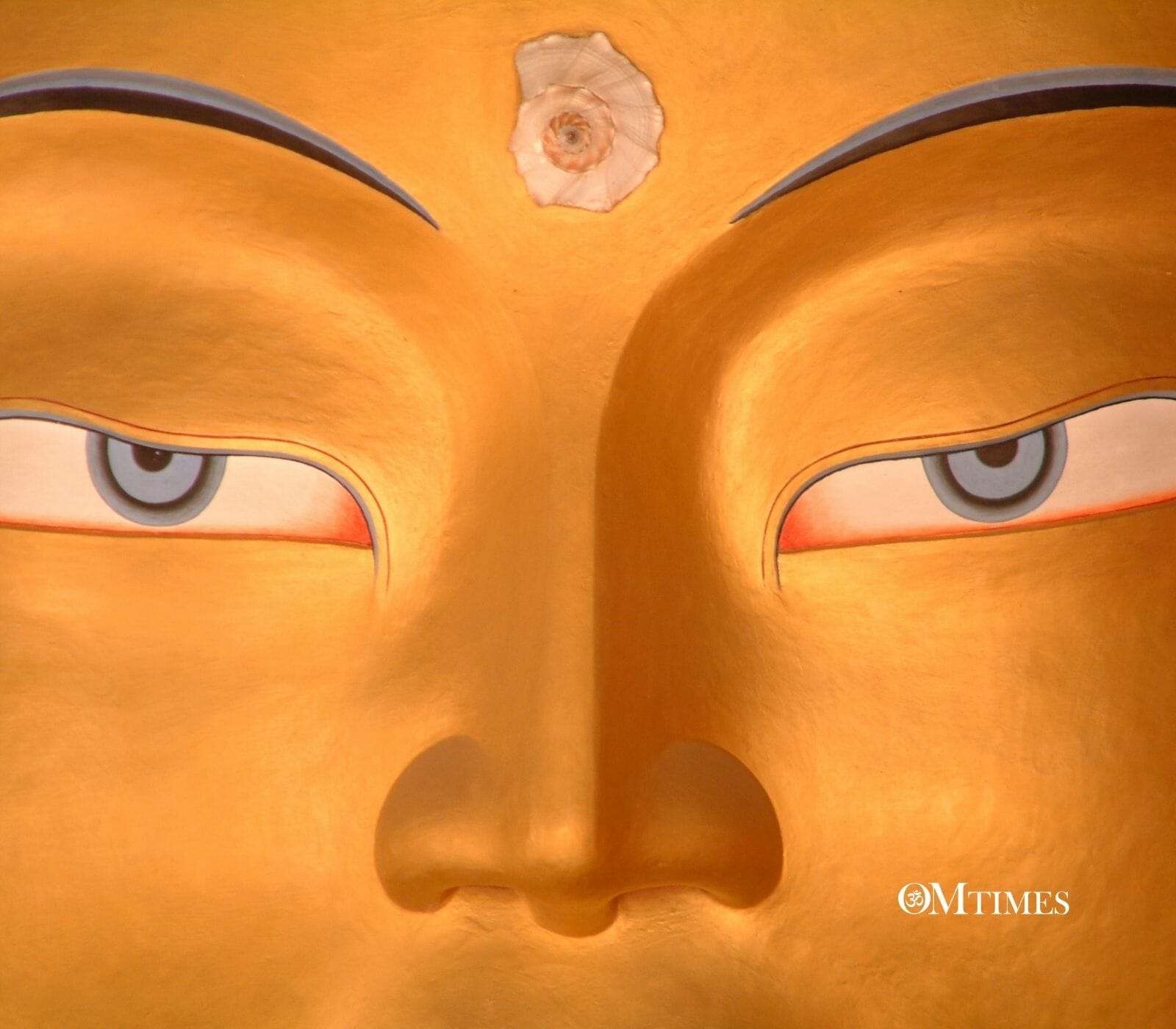 Maitreya OMTimes
