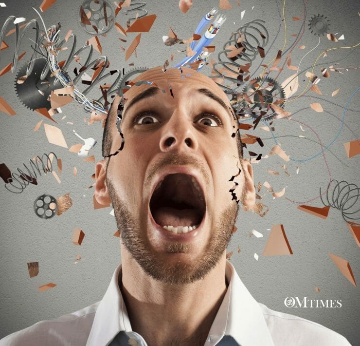 Neuroplasticity OMTimes