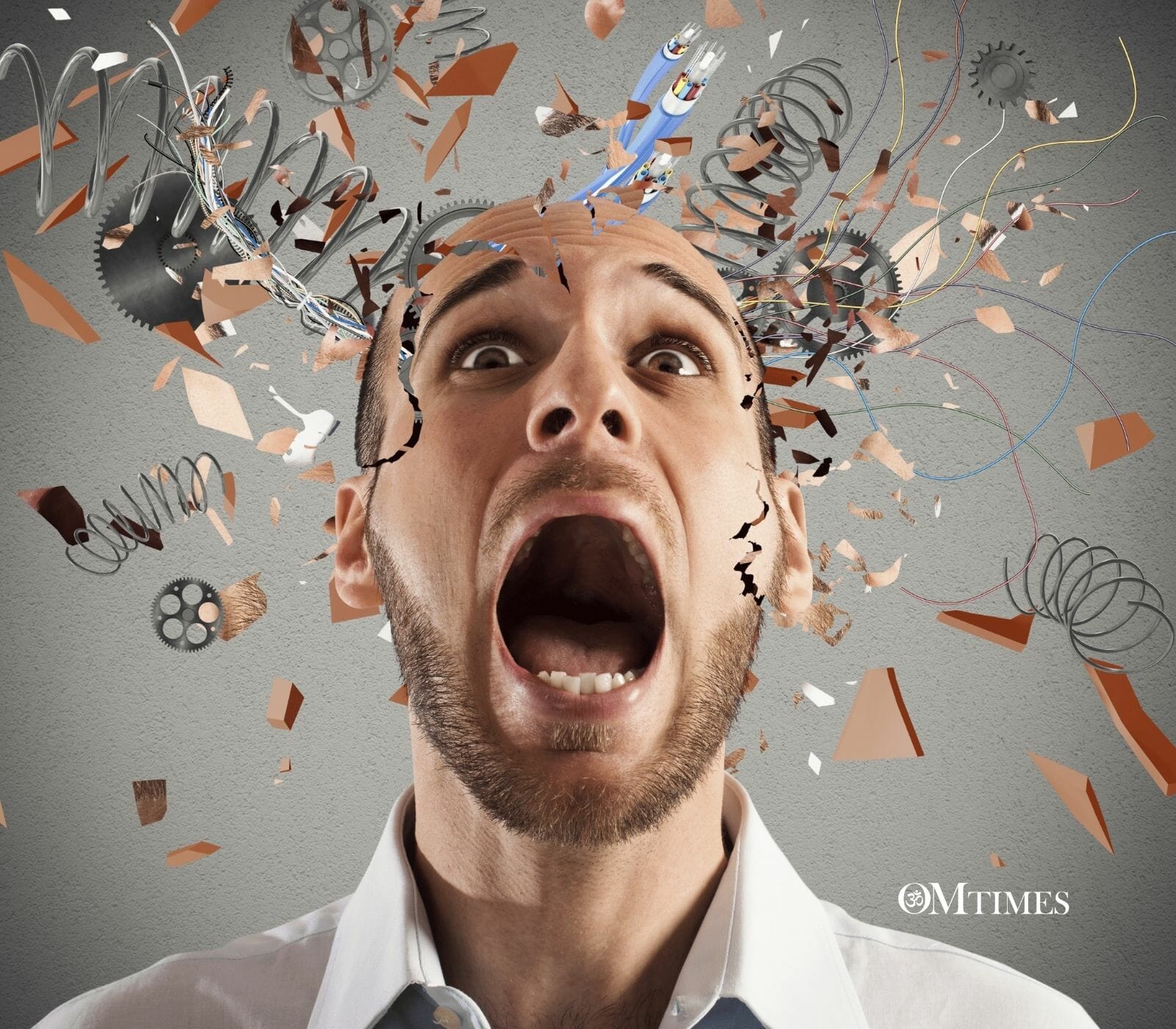 Neuroplasticity OMTimes