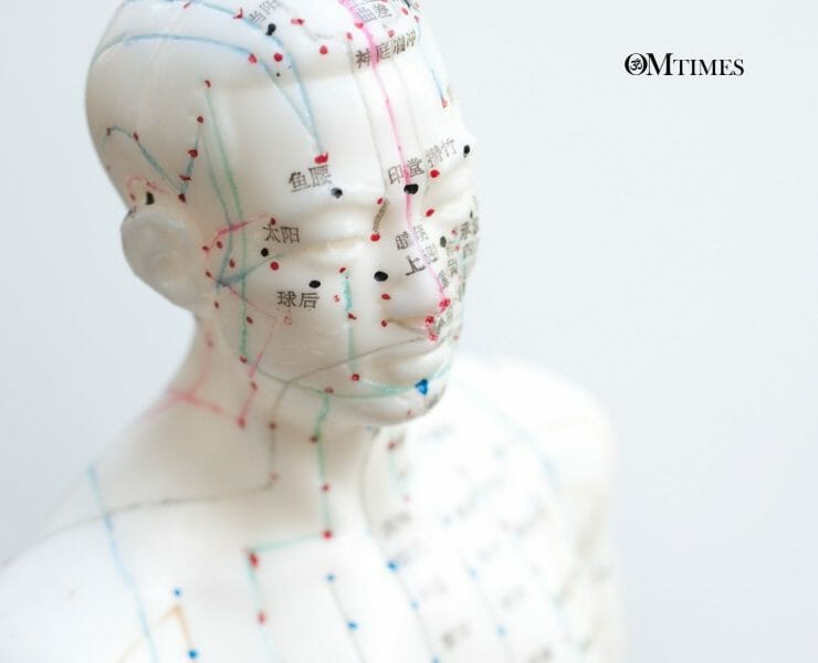 Holistic Healing Modalities