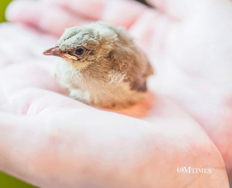 Karma Golden Rule OMTimes