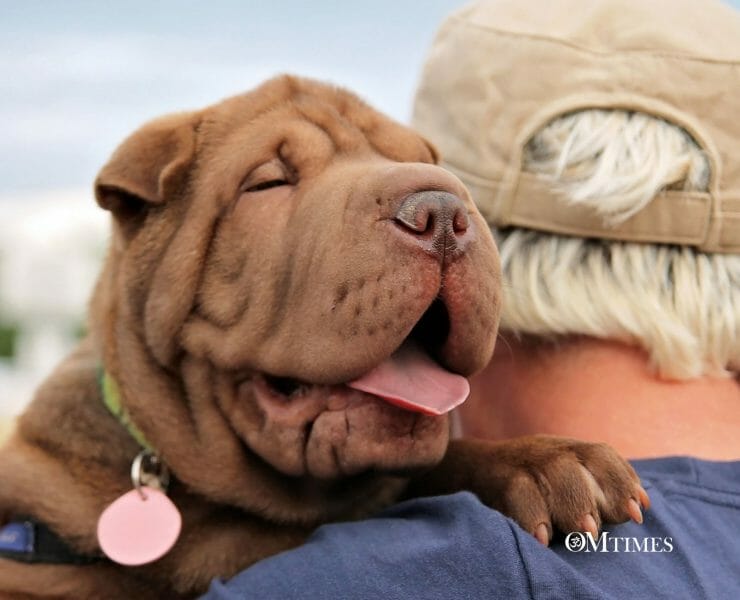 space clearing animals OMTimes