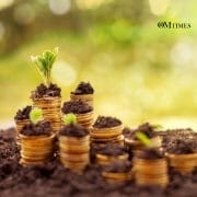 Prosperity Numerology OMTimes