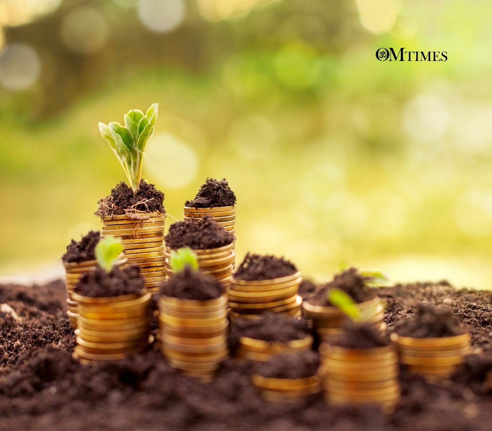 Prosperity Numerology OMTimes