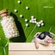 Homeopathy Animals