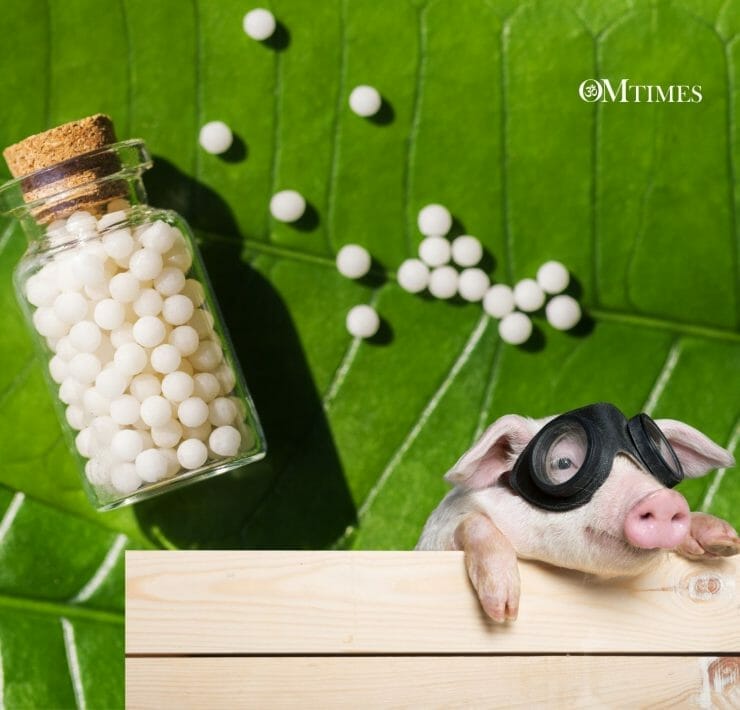 Homeopathy Animals