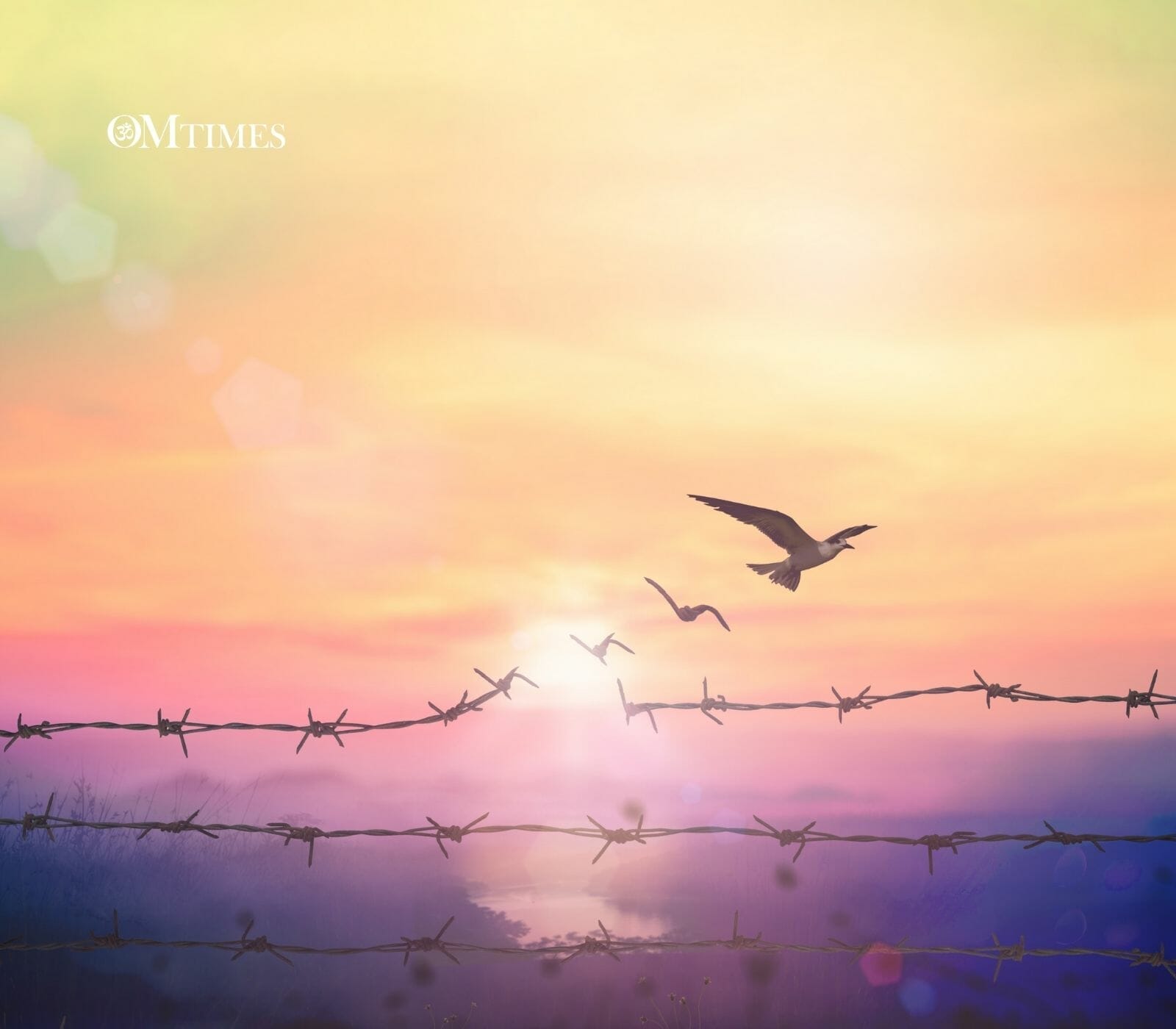 Ho'oponopono Foregivness