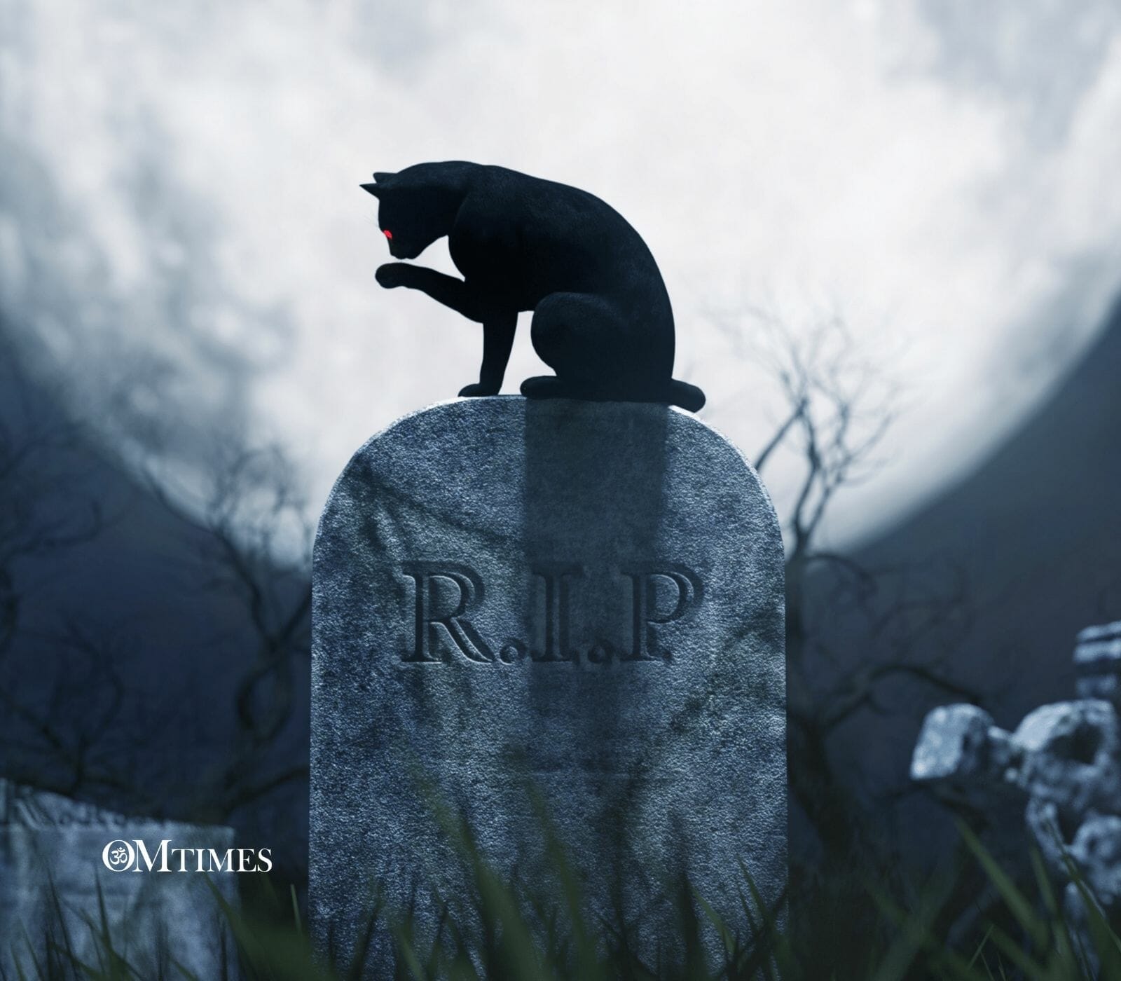 Pets Reincarnate