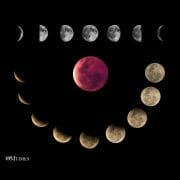 Lunar Cycle Lunation