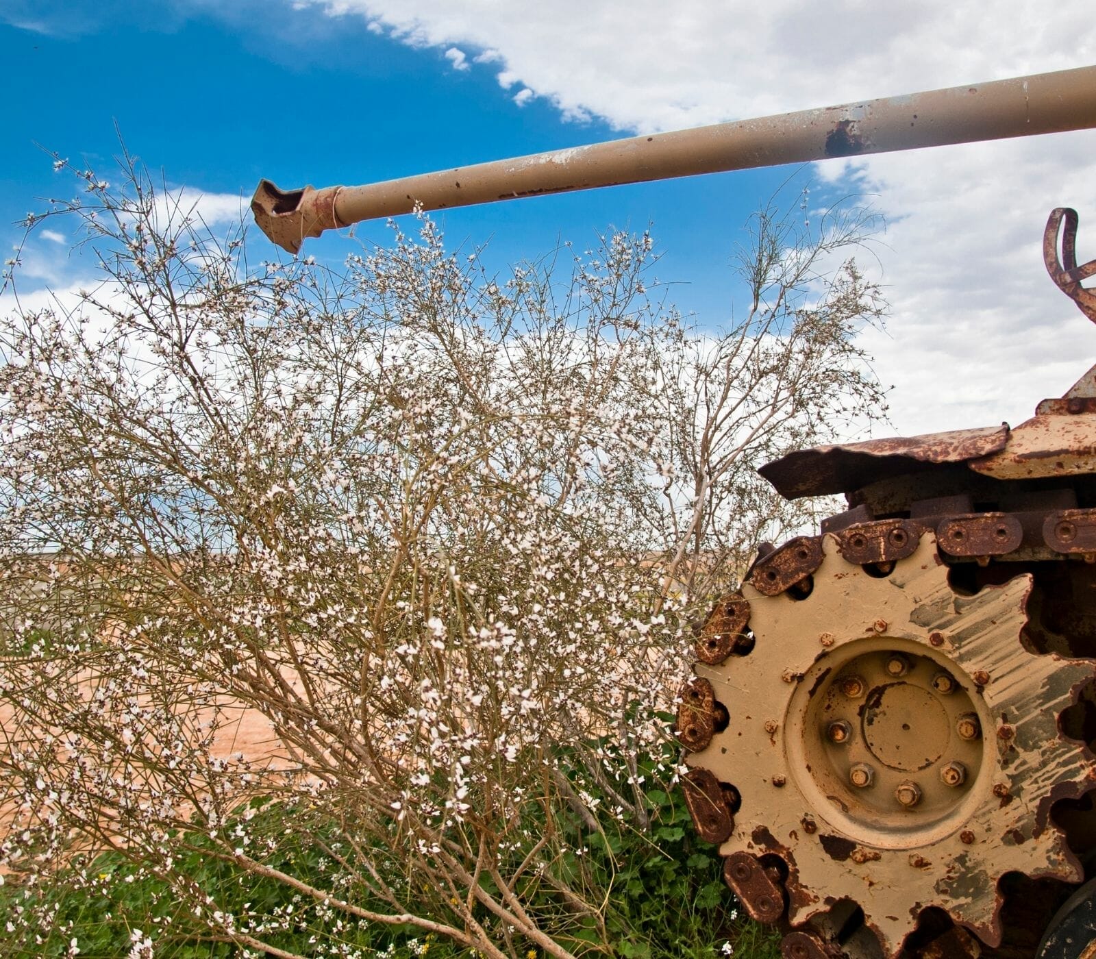 Ecologically sound Gaza Development Program.