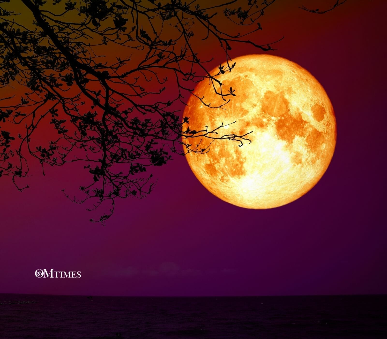 2021 Aquarius Full Moon Astrology Forecast OMTimes Magazine