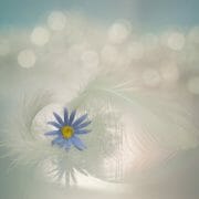 When Your Soul Has the Answer, You Need