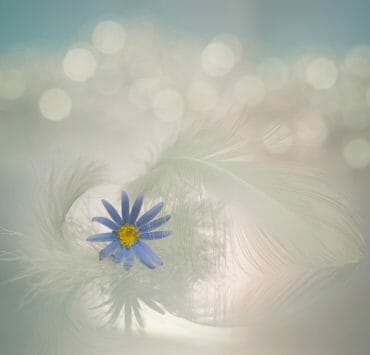 When Your Soul Has the Answer, You Need