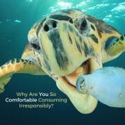 Why Are You So Comfortable Consuming Irresponsibly