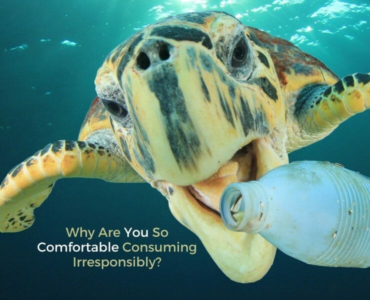 Why Are You So Comfortable Consuming Irresponsibly