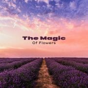 Flower Magic
