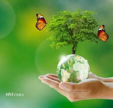 Healthy Living Environment