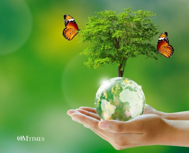 Healthy Living Environment