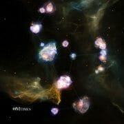 Divine Life Assistance