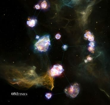 Divine Life Assistance