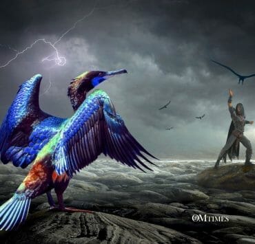 Mystical Experiences