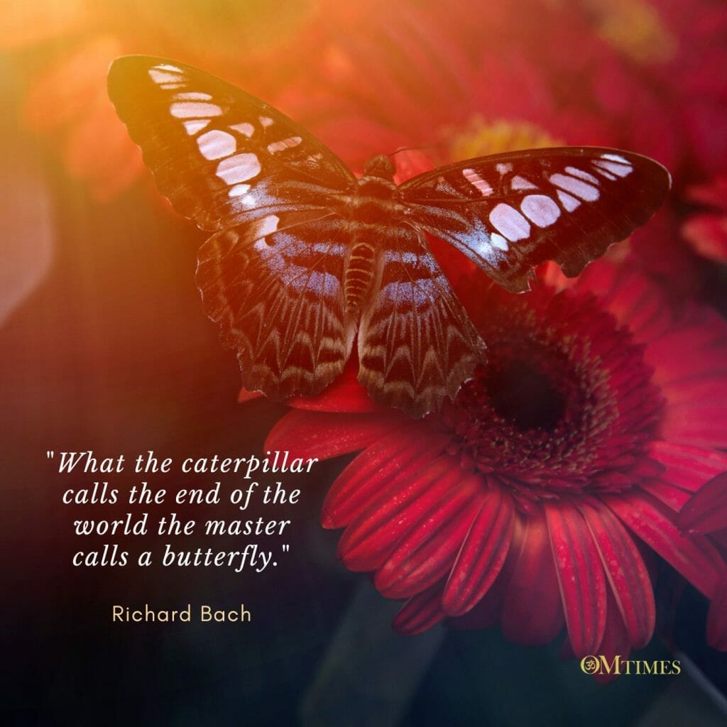 Your Personal Numerology Prediction for December 2022