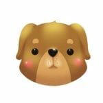 dog Chinese horoscope