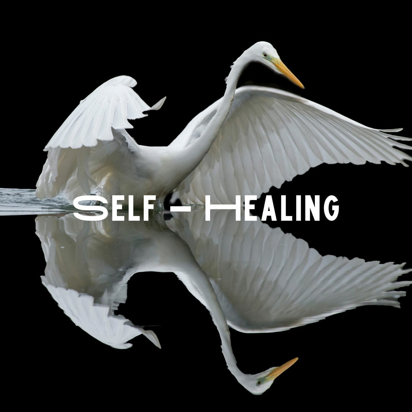 Self-Healing-How to practice?