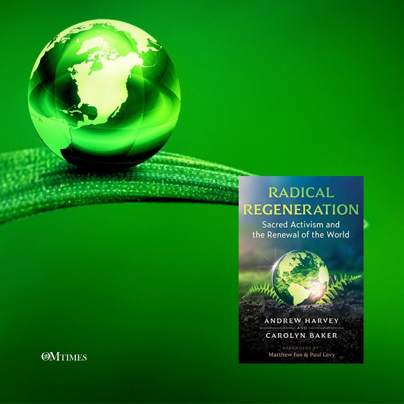 Joy Radical Regeneration