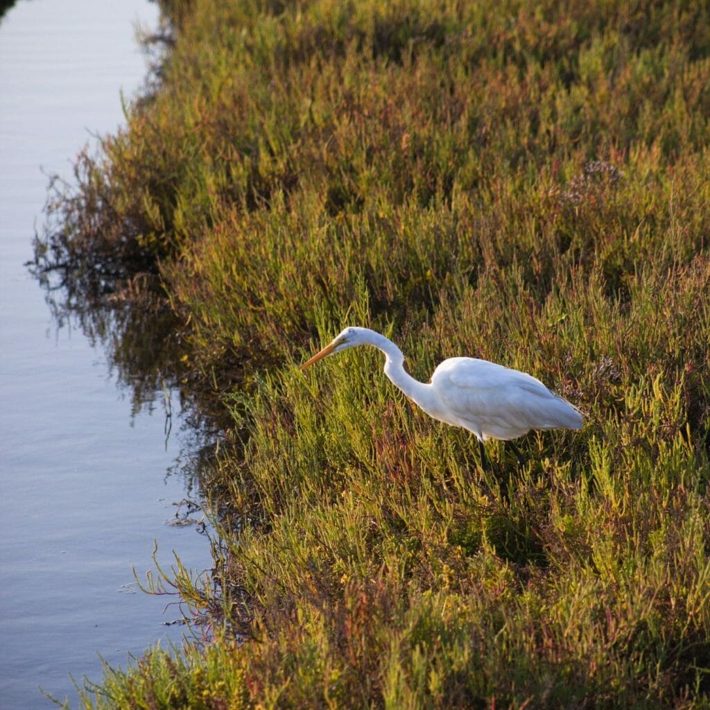 Losing a wetland a few acres in size may not sound much on a global or even national scale, but it’s very serious