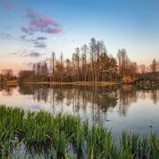 Losing a wetland a few acres in size may not sound much on a global or even national scale, but it’s very serious