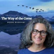 Beebe Bahrami- the way of the geese