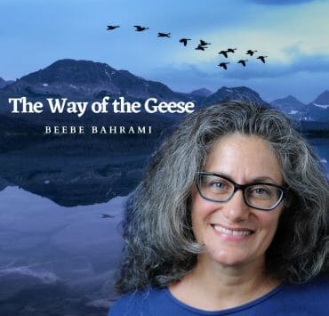 Beebe Bahrami- the way of the geese
