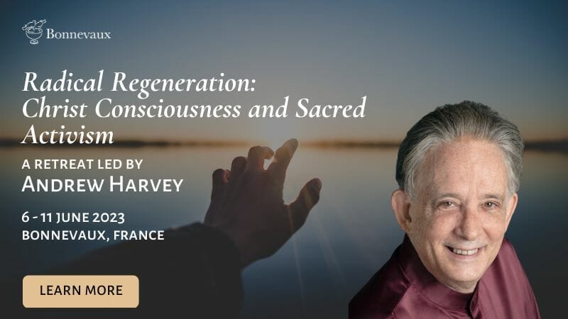 Radical Regeneration Retreat