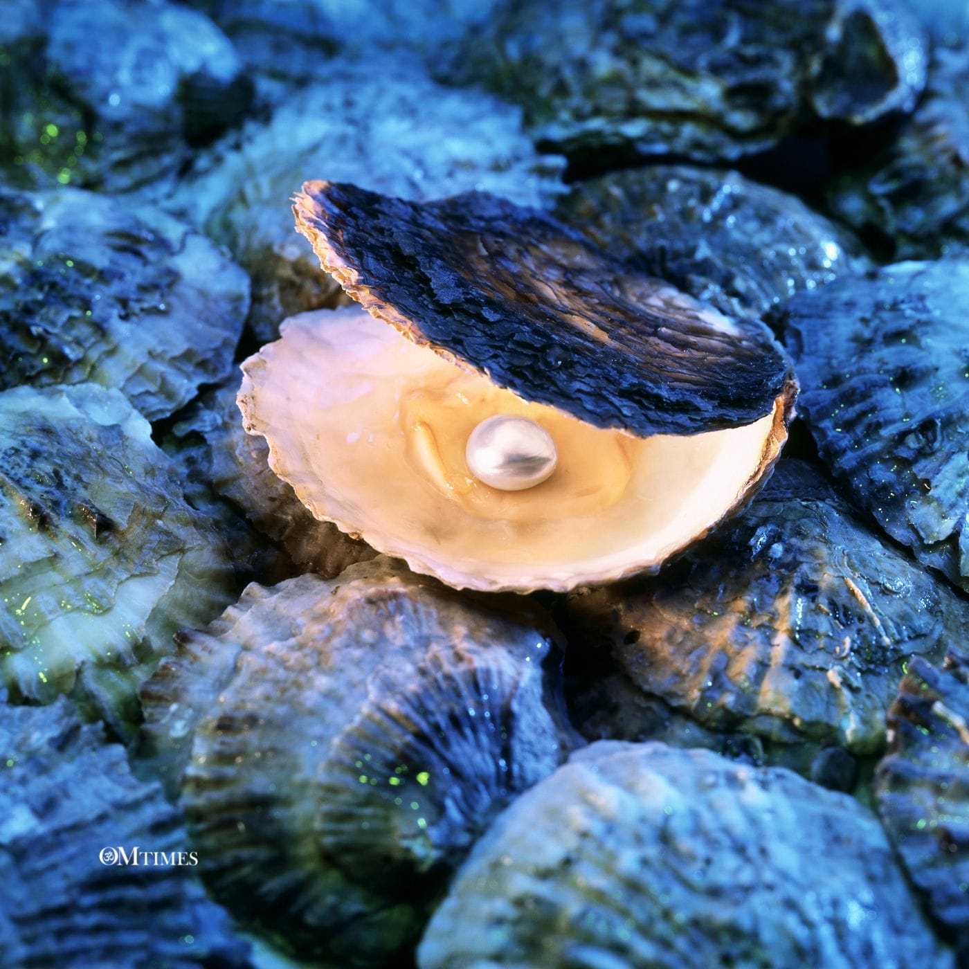 Pearl Gemstone Advent Calendar 2023