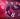 May 2025 Numerological Forecast