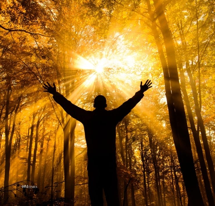 Science and the Akashic Field