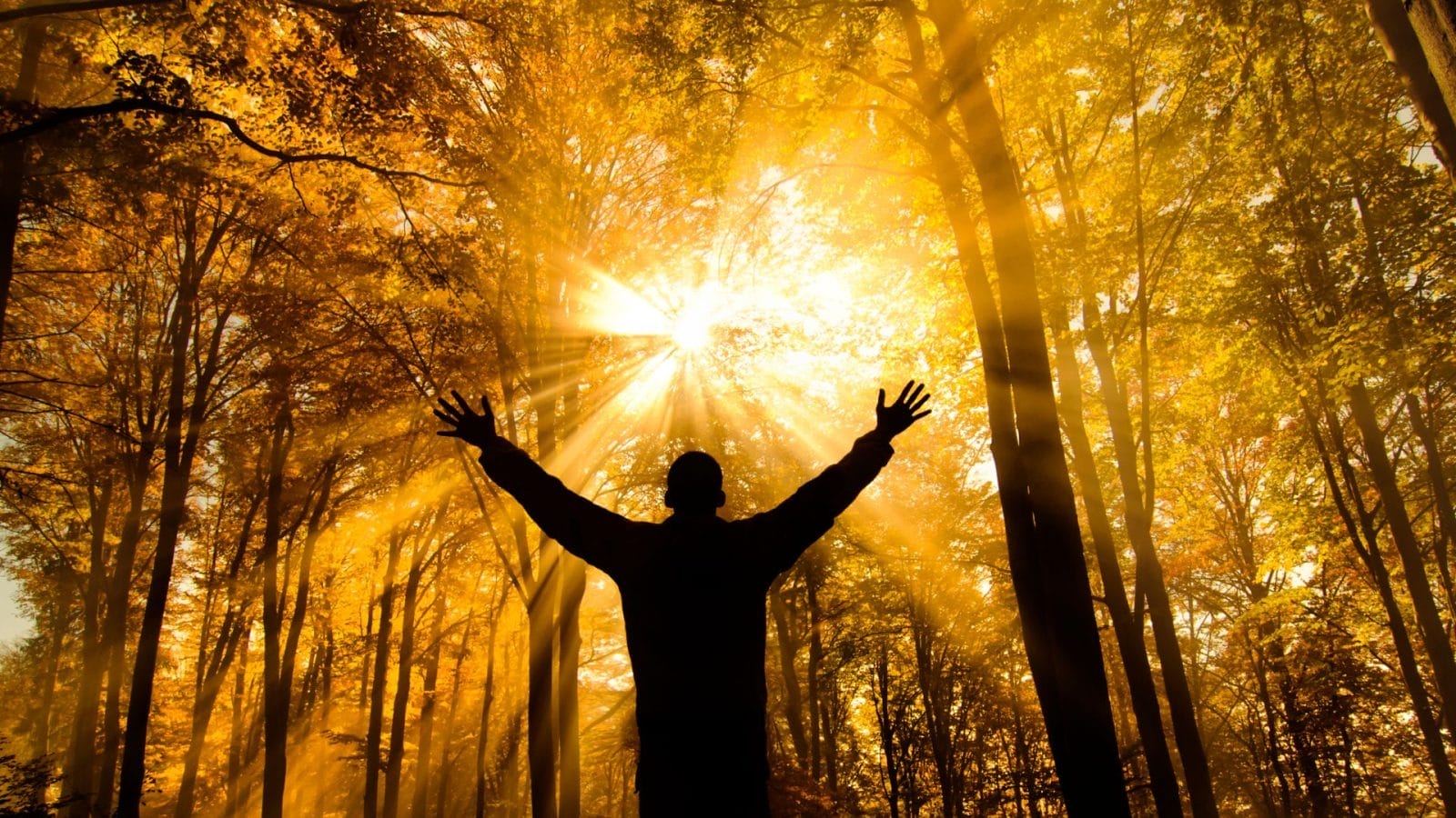 Science and the Akashic Field