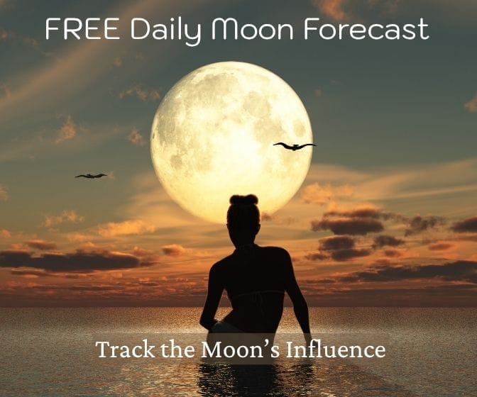 Daily Moon Forecast