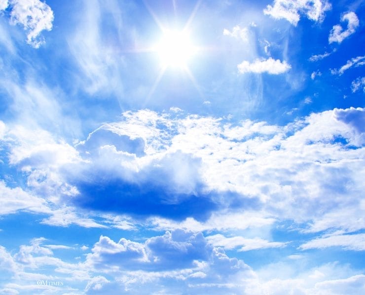 Energy Forecast August 2025